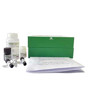 Fd-谷氨酸合成酶(Fd-GOGAT)測試盒/分光光度法主圖